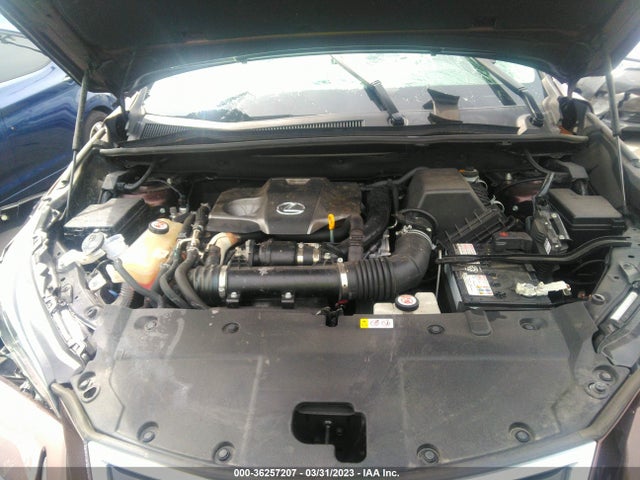 JTJYARBZ6K2134869 Lexus Nx Nx 300