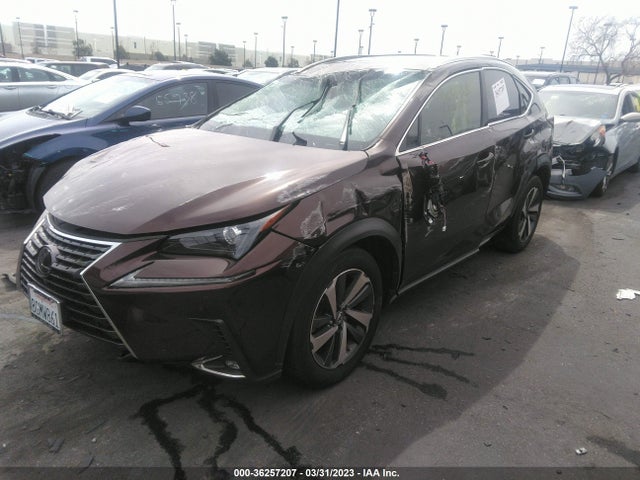 JTJYARBZ6K2134869 Lexus Nx Nx 300