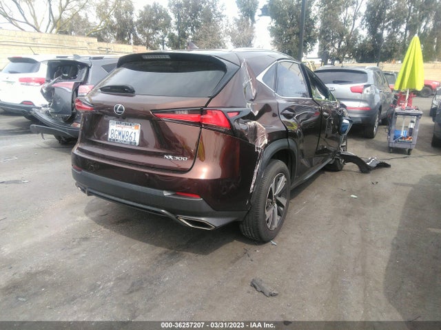 JTJYARBZ6K2134869 Lexus Nx Nx 300