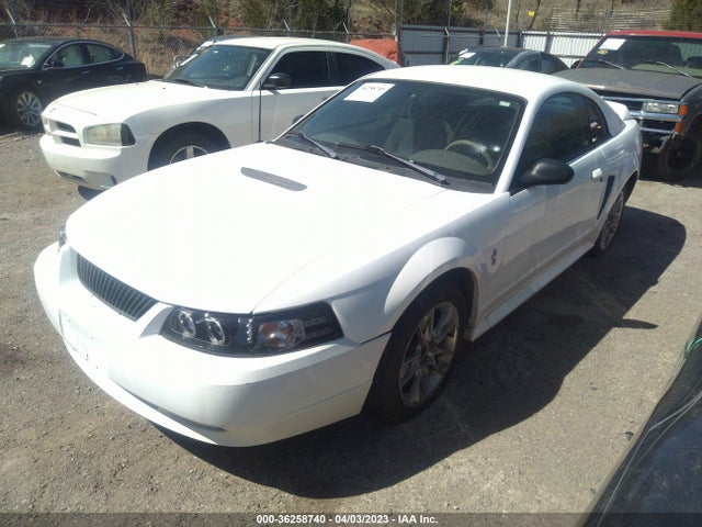 2000 FORD MUSTANG VIN: 1FAFP4049YF180268