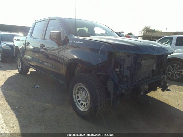 2019 Chevrolet Silverado 1500, VIN: 1GCUYAEF3KZ228375