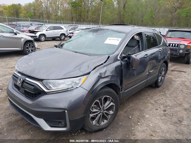 Honda Cr-v Ex-l 2020 5J6RW1H89LA012355 Image 6