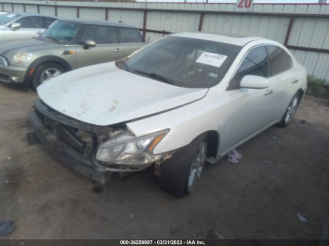 1N4AA5AP1EC444333 Nissan Maxima 3.5 S