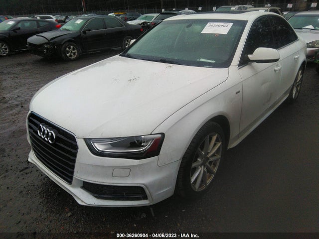 WAUFFAFL2EN023156 Audi A4 Premium Plus