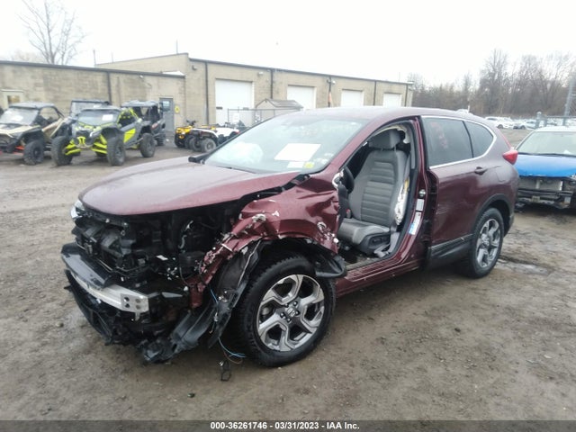 Honda CR-V EX 2019 2HKRW2H59KH628548 Image 2