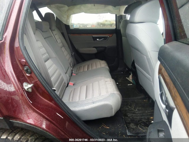 Honda CR-V EX 2019 2HKRW2H59KH628548 Image 8