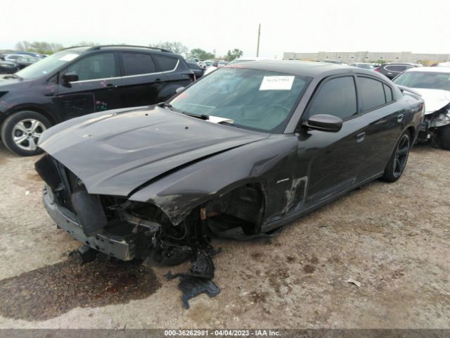 2C3CDXCT8EH342366 Dodge Charger Rt