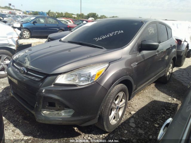 1FMCU0GX3EUC42622 Ford ESCAPE SE