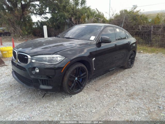 5YMKW8C58G0R43834 BMW X6 M