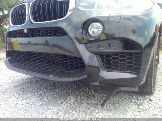 5YMKW8C58G0R43834 BMW X6 M