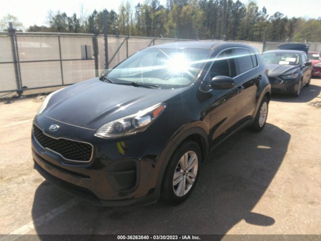 KNDPM3AC0H7233568 KIA Sportage Lx