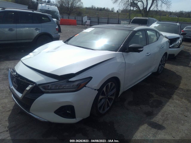 2023 Nissan Maxima, VIN: 1N4AA6FV3PC502958