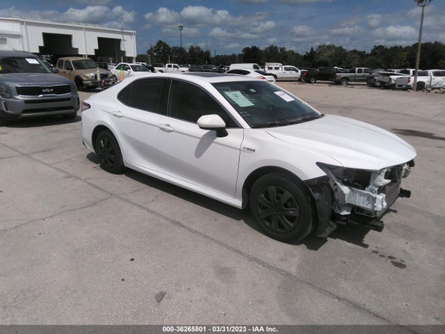 2019 Toyota Camry, VIN: 4T1B31HK3KU512094