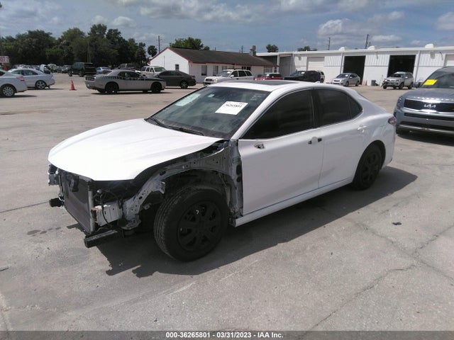 2019 Toyota Camry, VIN: 4T1B31HK3KU512094