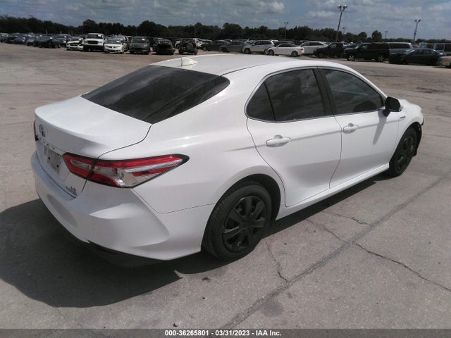 2019 Toyota Camry, VIN: 4T1B31HK3KU512094
