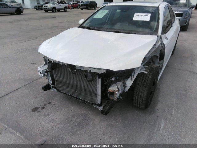 2019 Toyota Camry, VIN: 4T1B31HK3KU512094