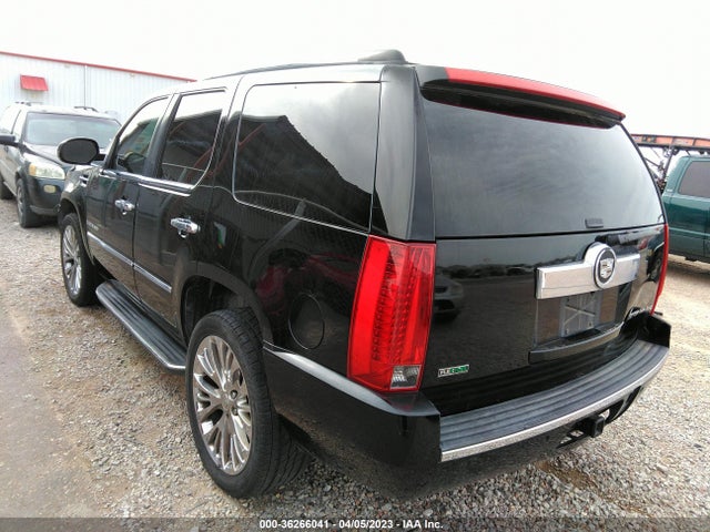 2009 CADILLAC ESCALADE VIN: 1GYFC53209R116510