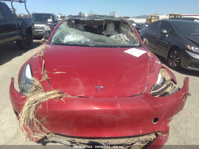 Tesla Model 3 Standard Range Plus 2021 5YJ3E1EA3MF876610 Image 10