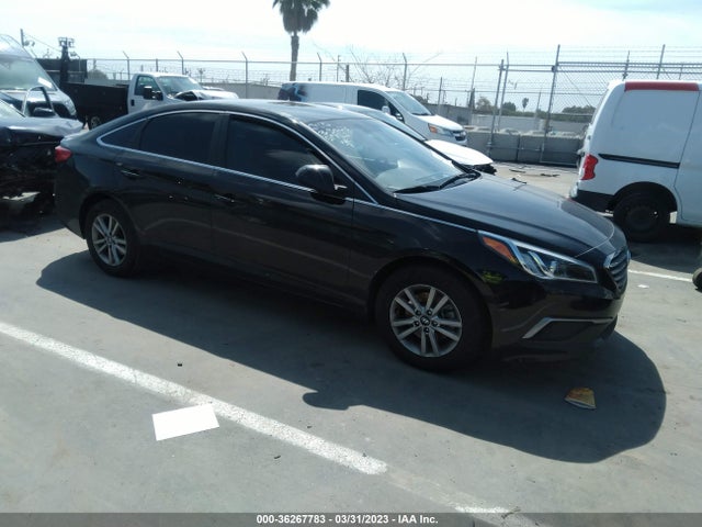 2016 5NPE24AF1GH366413 main image