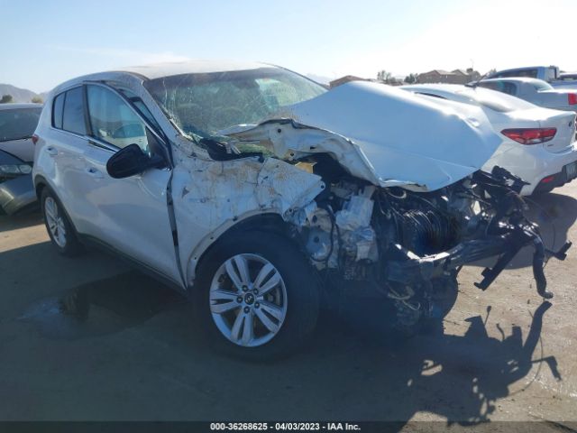 KNDPMCAC1H7068954 KIA Sportage Lx