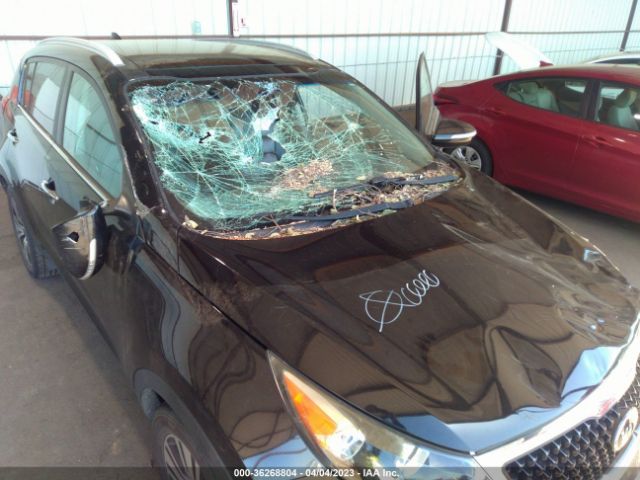 KNDPC3AC2F7717922 KIA Sportage Ex
