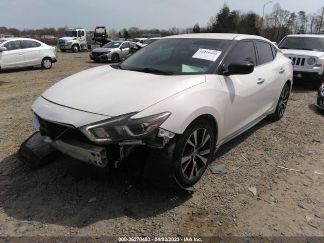 1N4AA6AP5GC901556 Nissan Maxima 3.5 S
