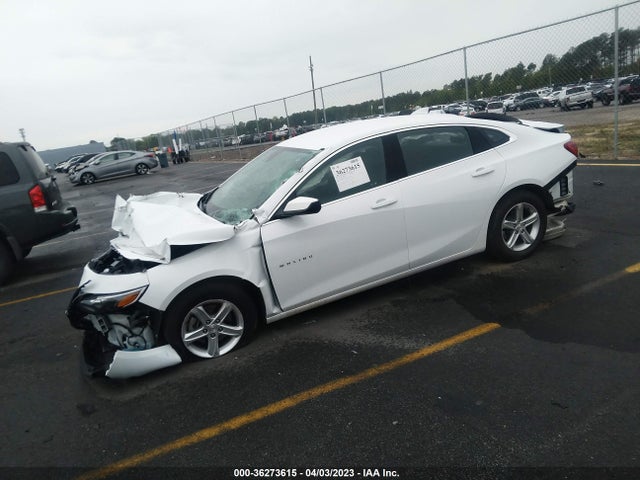 Chevrolet MALIBU LT 2023 1G1ZD5ST1PF123452 Image 2