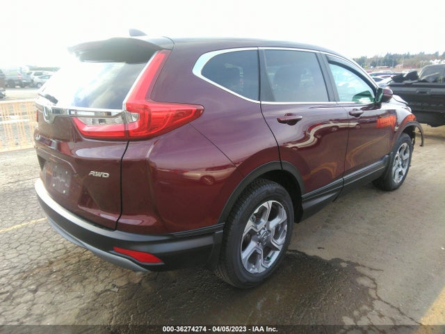 Honda CR-V EX 2019 7FARW2H58KE062840 Image 5