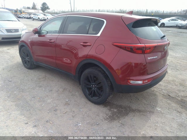 2017 KIA SPORTAGE LX VIN: KNDPMCAC3H7040833