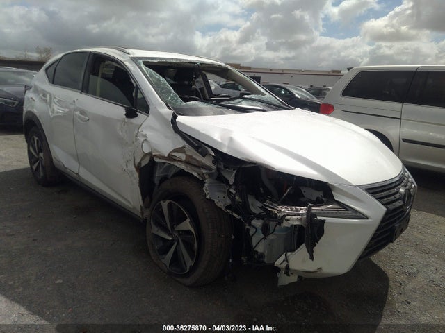 Lexus Nx Nx 300h 2021 JTJGJRDZ3M2149177 Image 1