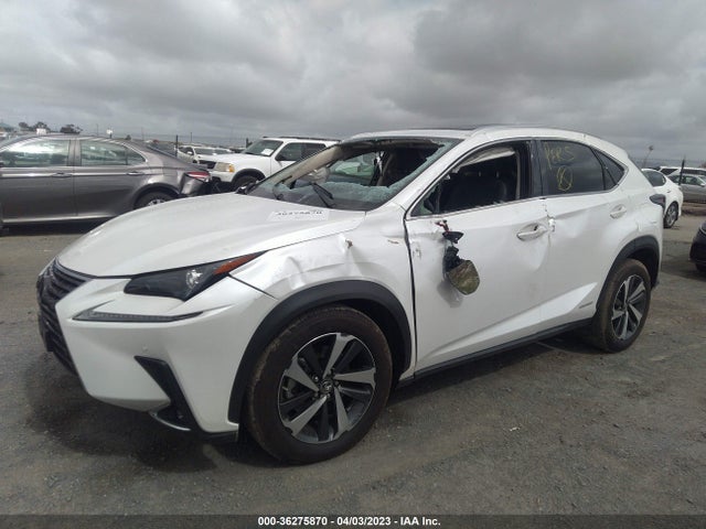 Lexus Nx Nx 300h 2021 JTJGJRDZ3M2149177 Image 2