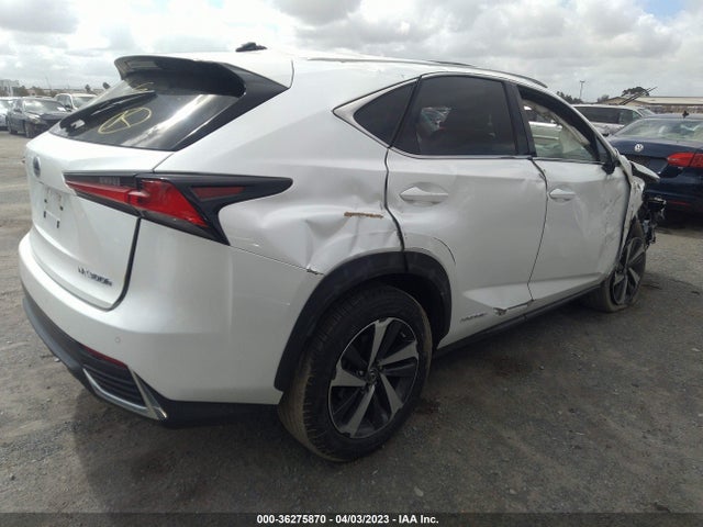 Lexus Nx Nx 300h 2021 JTJGJRDZ3M2149177 Image 5