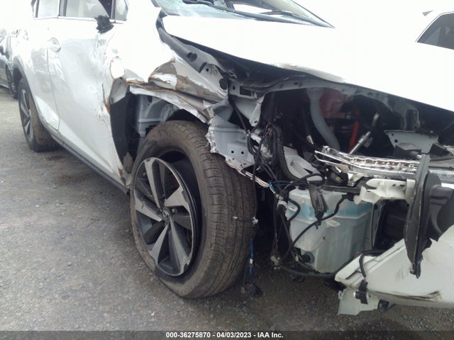 Lexus Nx Nx 300h 2021 JTJGJRDZ3M2149177 Image 7