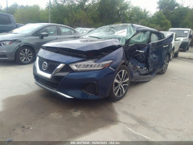 1N4AA6CV2MC513899 Nissan MAXIMA SV