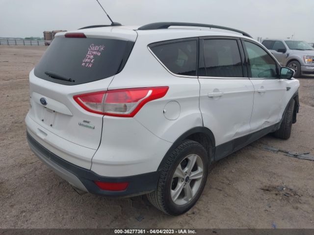1FMCU0GX4EUC84586 Ford ESCAPE SE