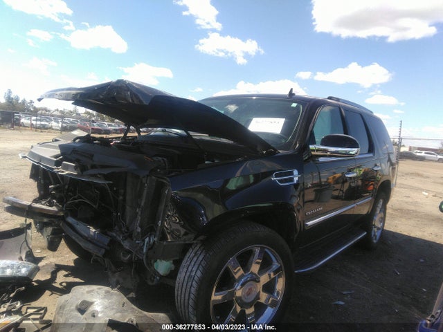 1GYS4BEF4ER223712 Cadillac Escalade Luxury