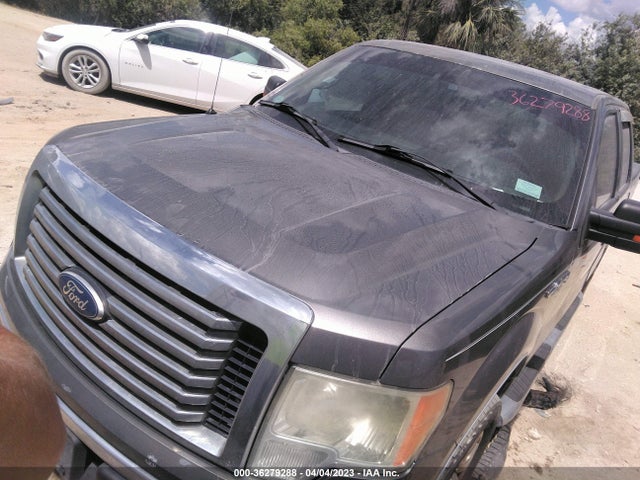 2012 FORD F-150 XL/XLT VIN: 1FTEW1CM5CFA02630
