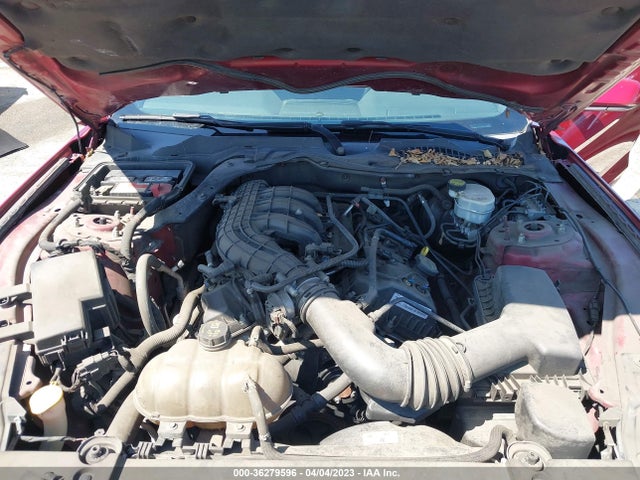 2015 Ford Fastback, VIN: 1FA6P8AM8F5326281