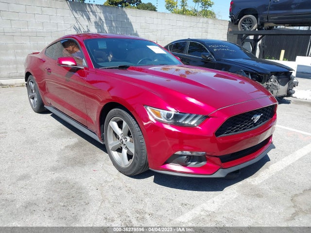 2015 Ford Fastback, VIN: 1FA6P8AM8F5326281