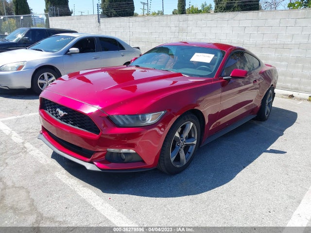 2015 Ford Fastback, VIN: 1FA6P8AM8F5326281