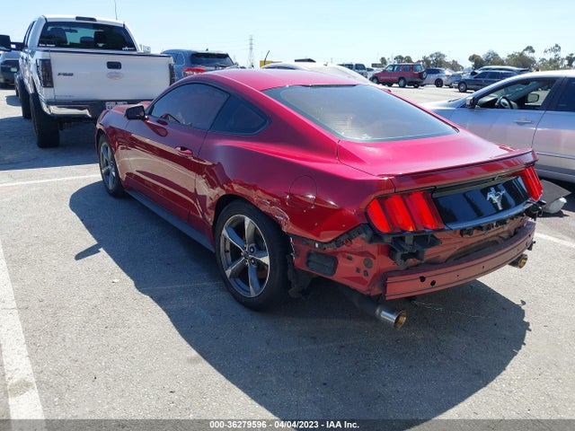 2015 Ford Fastback, VIN: 1FA6P8AM8F5326281