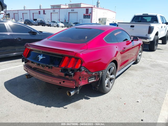 2015 Ford Fastback, VIN: 1FA6P8AM8F5326281