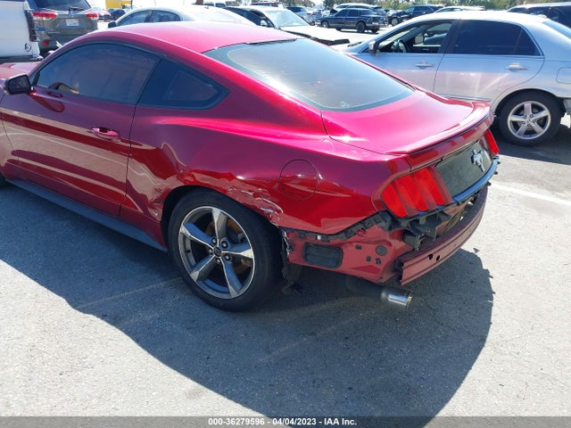 2015 Ford Fastback, VIN: 1FA6P8AM8F5326281