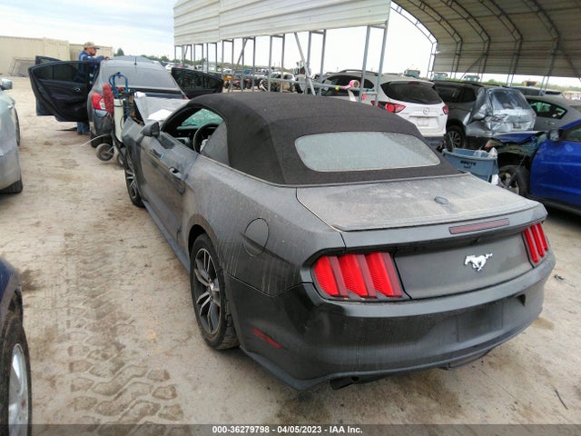 2017 Ford Mustang, VIN: 1FATP8UH5H5294989