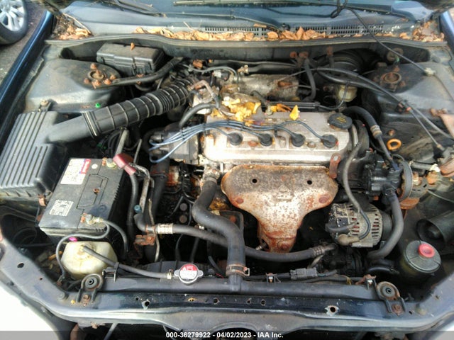 1998 HONDA ACCORD SDN LX VIN: 1HGCG5643WA050881
