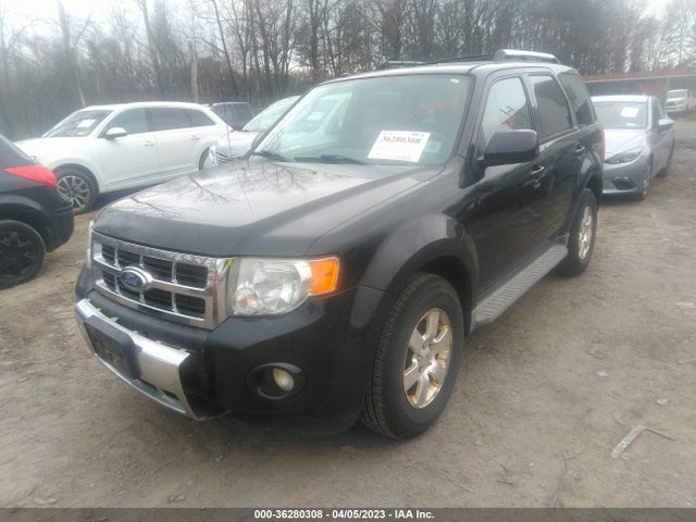 2011 FORD ESCAPE LIMITED VIN: 1FMCU9EG5BKB56727