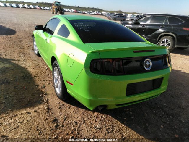 1ZVBP8AM0E5204163 Ford Mustang V6