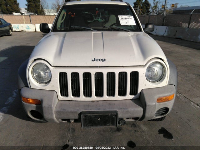 2004 JEEP LIBERTY SPORT VIN: 1J4GL48K24W322459