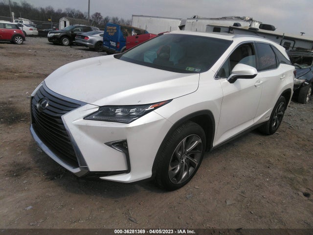 2019 Lexus RX, VIN: JTJDGKCA3K2008840