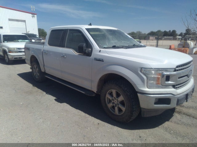 2019 1FTEW1E52KKC20553 main image